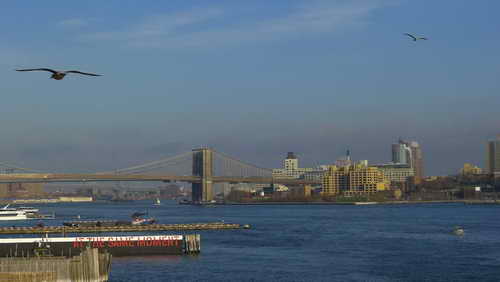 NYC_2012-11-23 15-05-13_P1070689